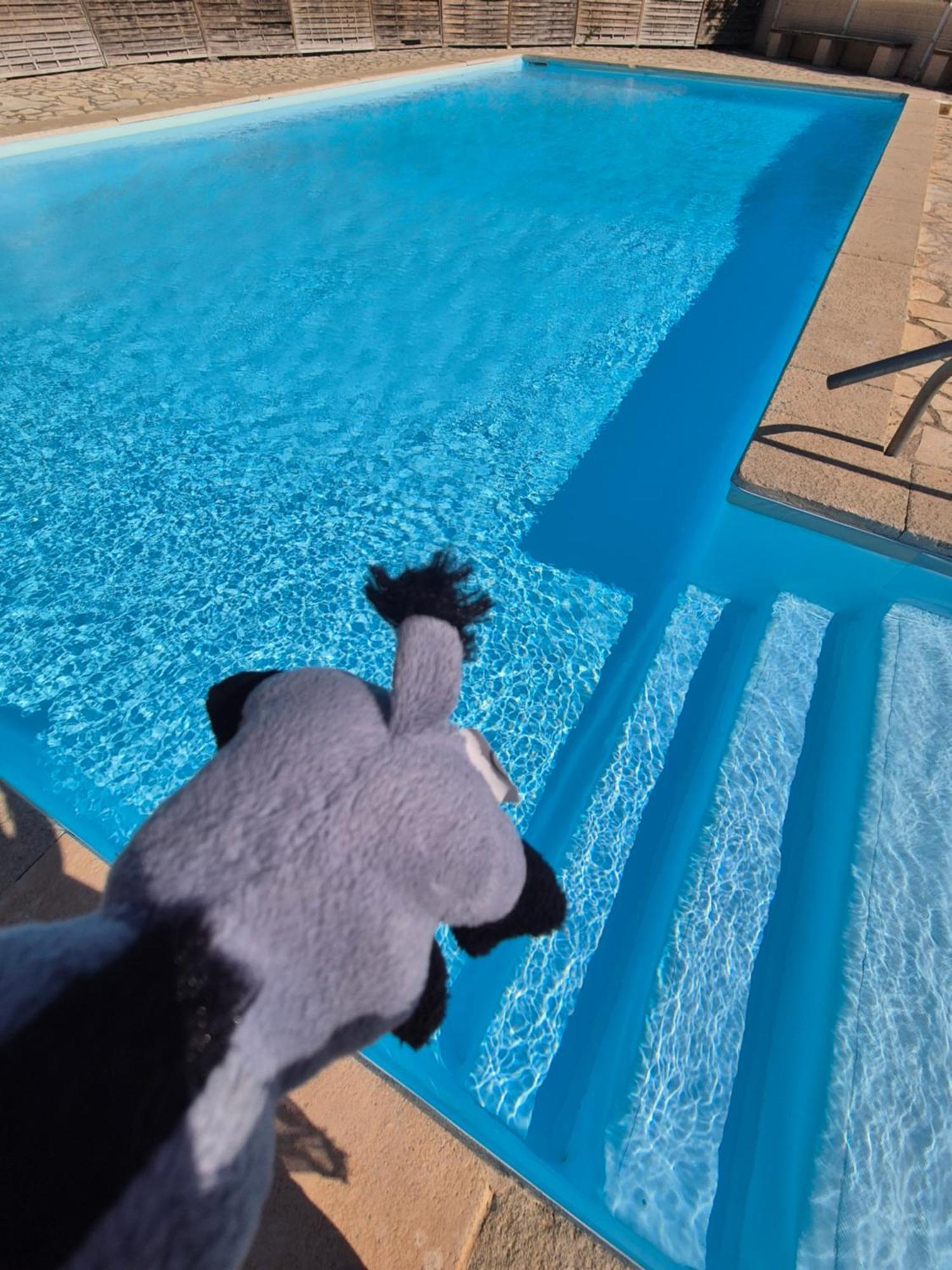 Havre De Paix Appart Climatise,Piscine,Wifi Le Barcarès Exterior foto
